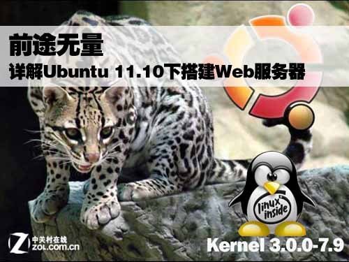 Ubuntu 11.0下配置Web服務(wù)器詳細(xì)教程[ 圖文]